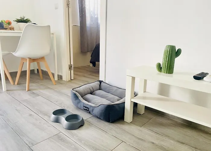 Jimena Maro En El Centro De Appartement *