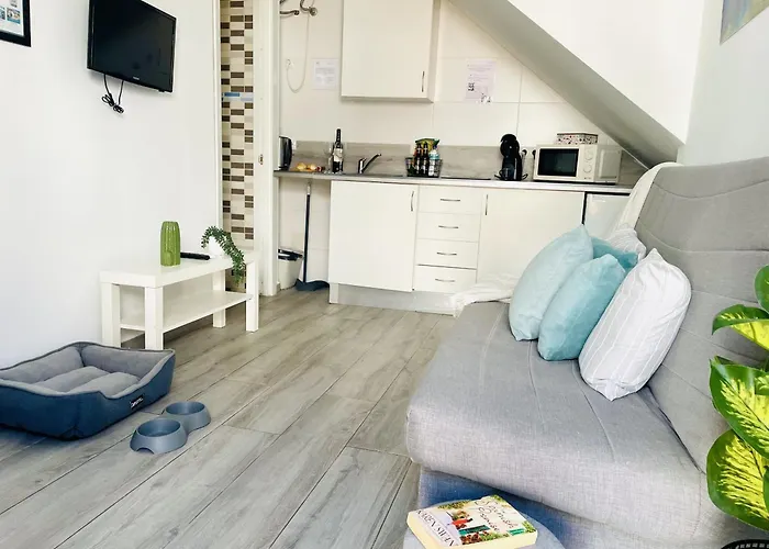 Jimena Maro En El Centro De Appartement