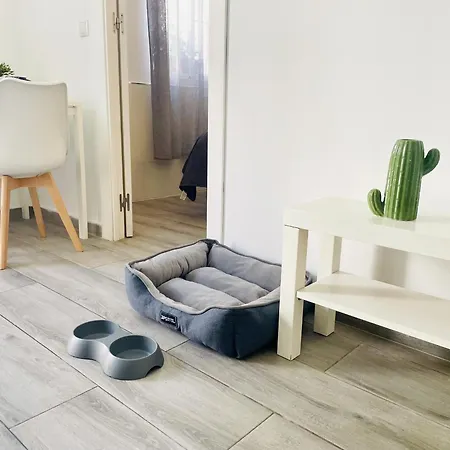 Jimena Maro En El Centro De Apartment *